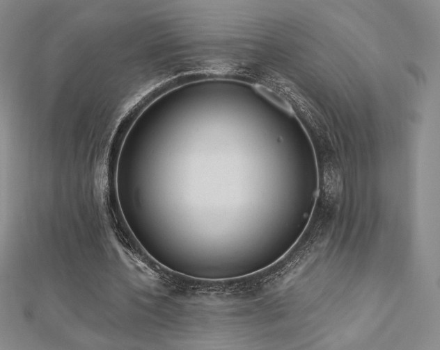 X0000113020532200908271435