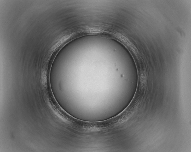 X0000113020533200908271435
