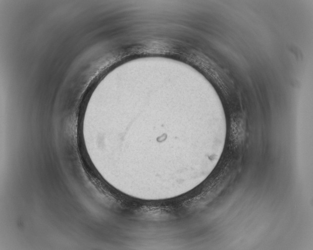 X0000113020534200908271435