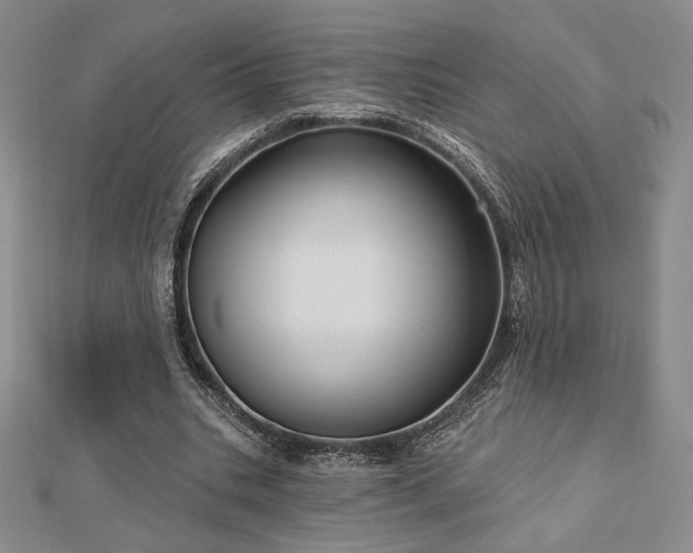 X0000113020535200908271435