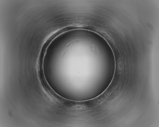 X0000113020536200908271435