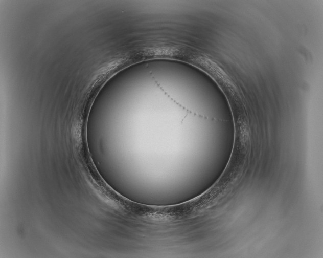 X0000113020537200908271435
