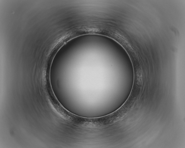 X0000113020538200908271435