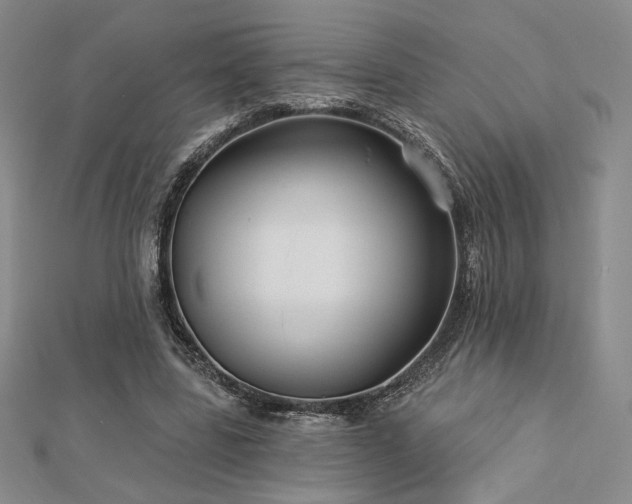 X0000113020539200908271435
