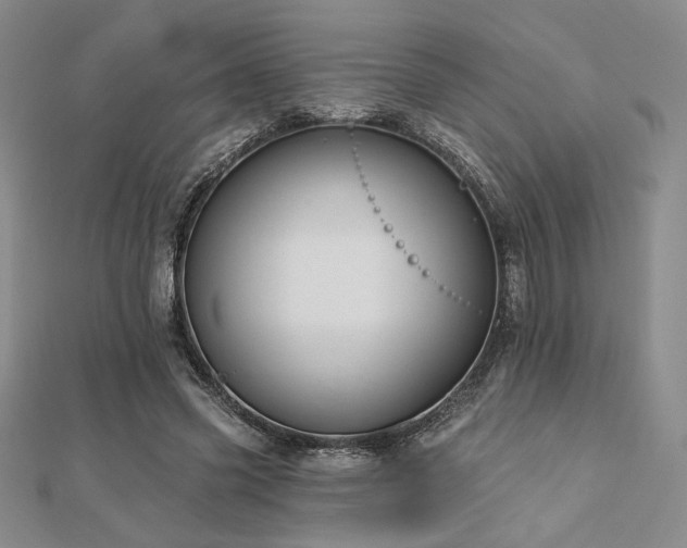 X0000113020541200908271435