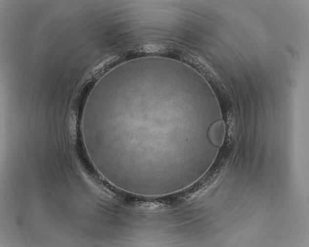 X0000113020542200908271435