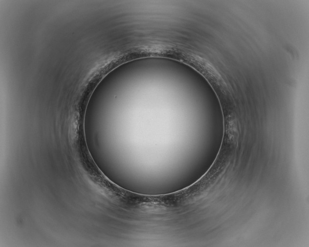 X0000113020544200908271435