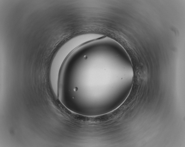 X0000113020546200908271435