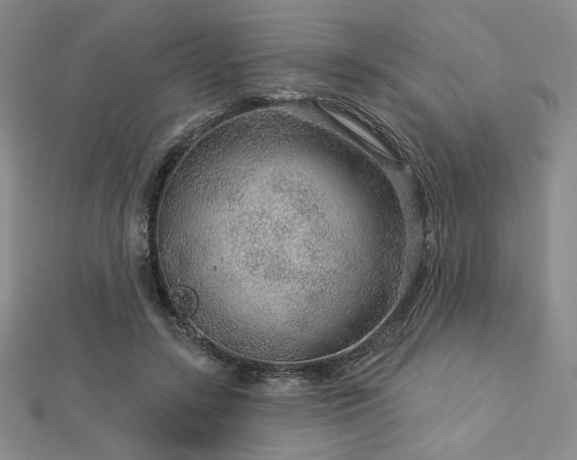 X0000113020547200908271435