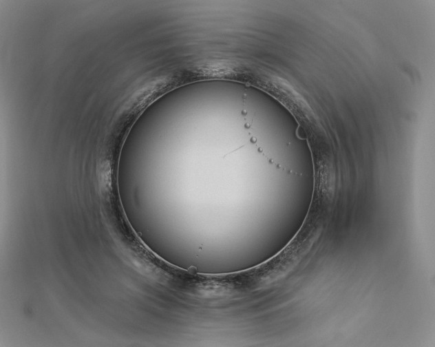 X0000113020549200908271435