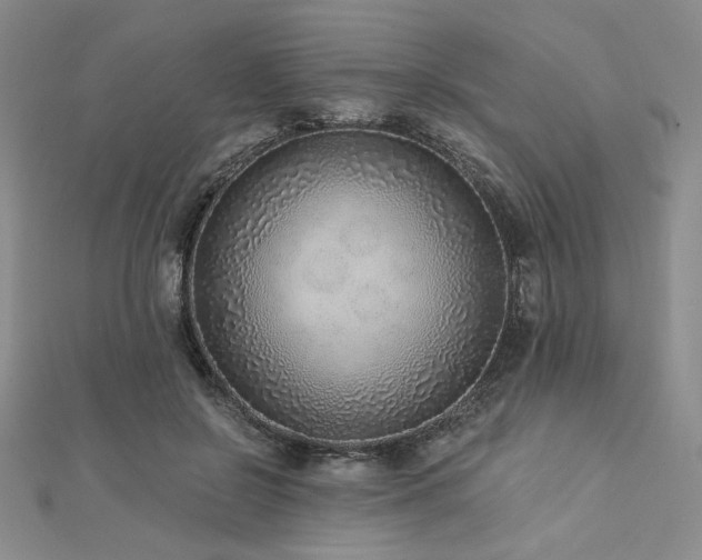 X0000113020550200908271435