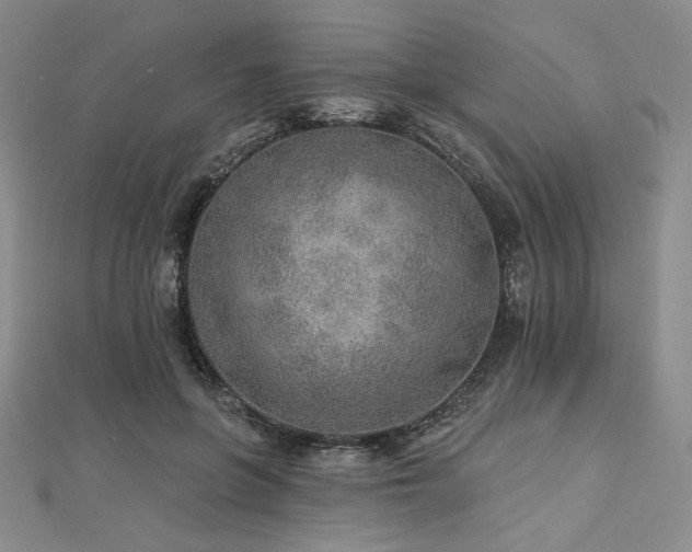 X0000113020551200908271435