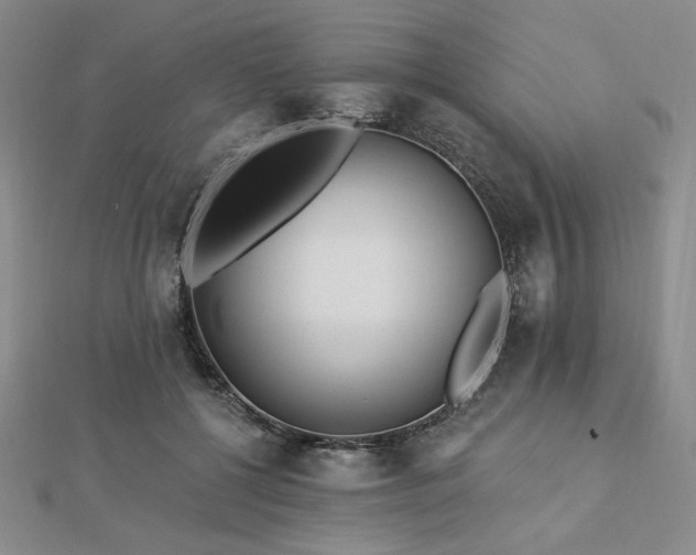 X0000113020552200908271435