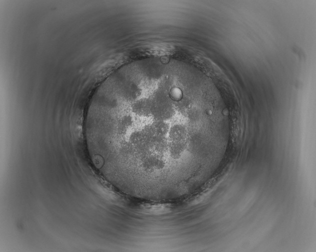 X0000113020553200908271435