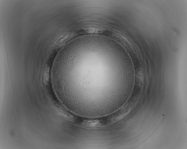 X0000113020554200908271436