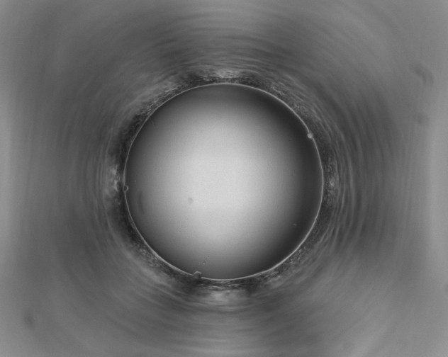X0000113020555200908271436
