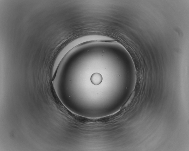 X0000113020556200908271436