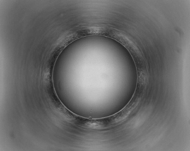 X0000113020557200908271436