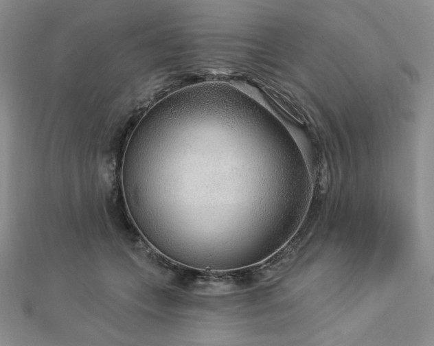 X0000113020559200908271436