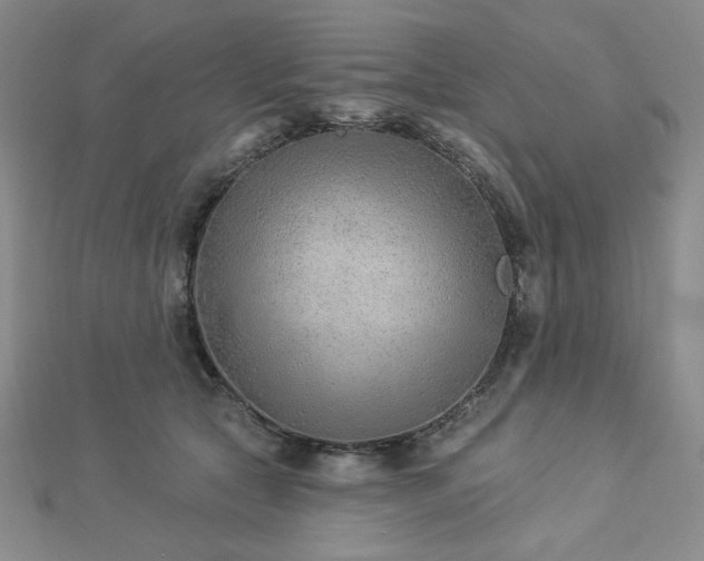 X0000113020561200908271436