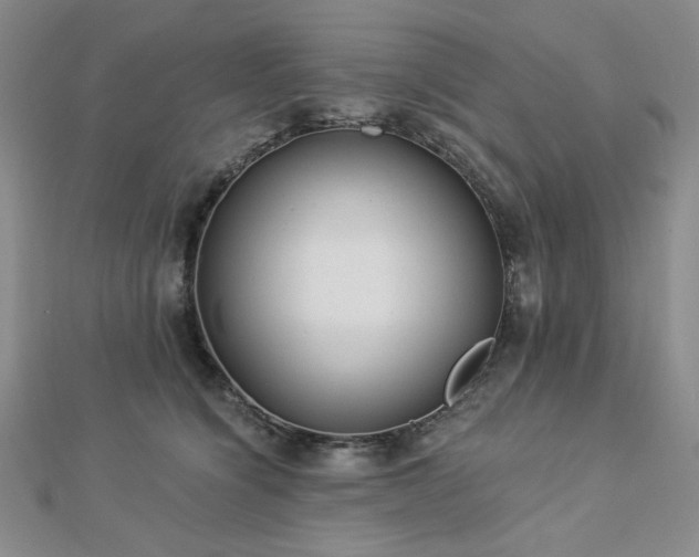 X0000113020564200908271436