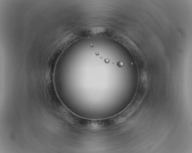 X0000113020565200908271436