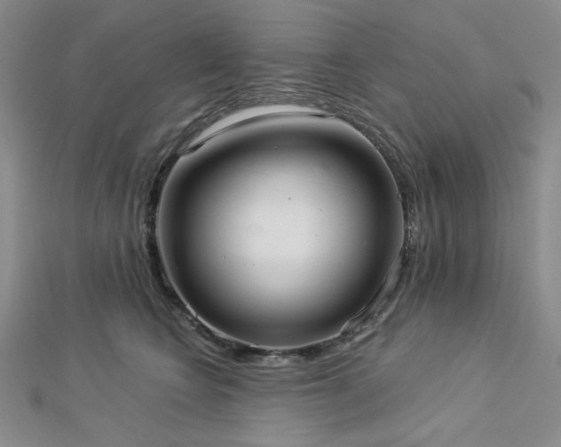 X0000113020566200908271436