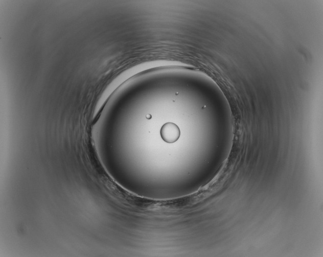 X0000113020568200908271436