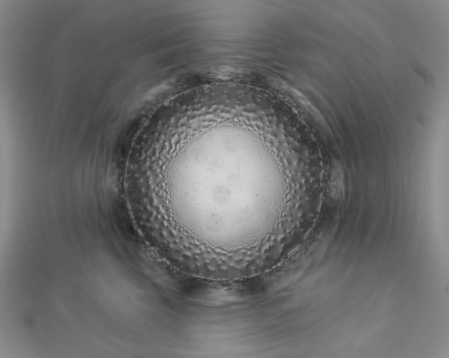 X0000113020569200908271436