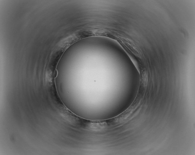 X0000113020571200908271436