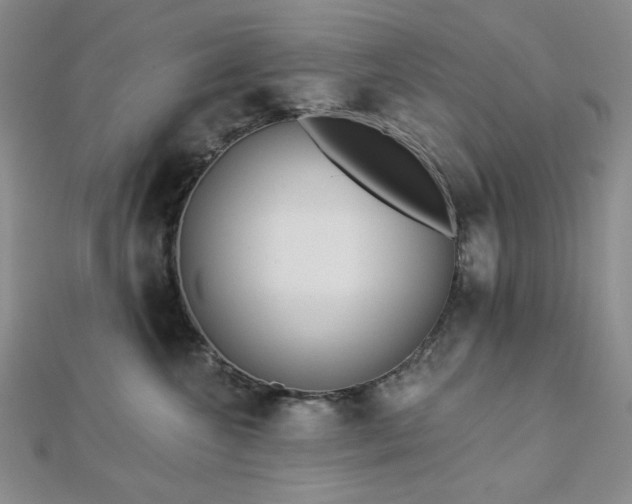 X0000113020572200908271436