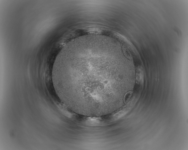 X0000113020573200908271436