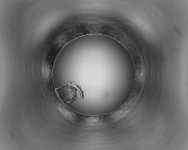 X0000113020574200908271436