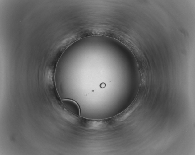 X0000113020575200908271436