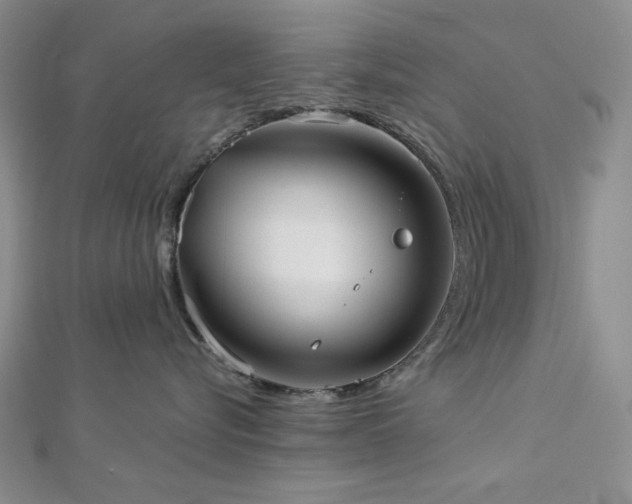 X0000113020576200908271436