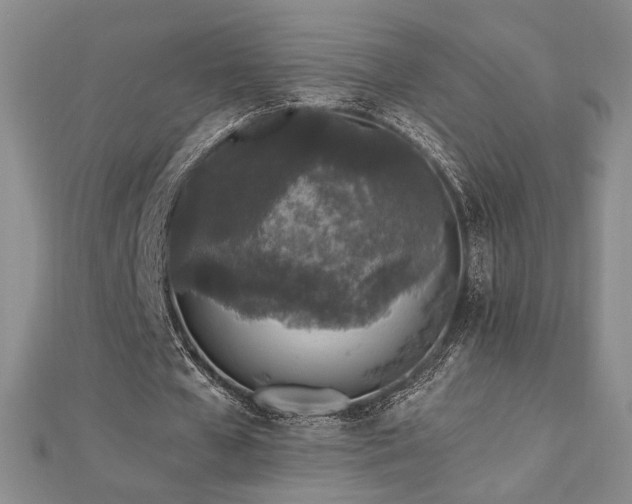 X0000113020577200908271435