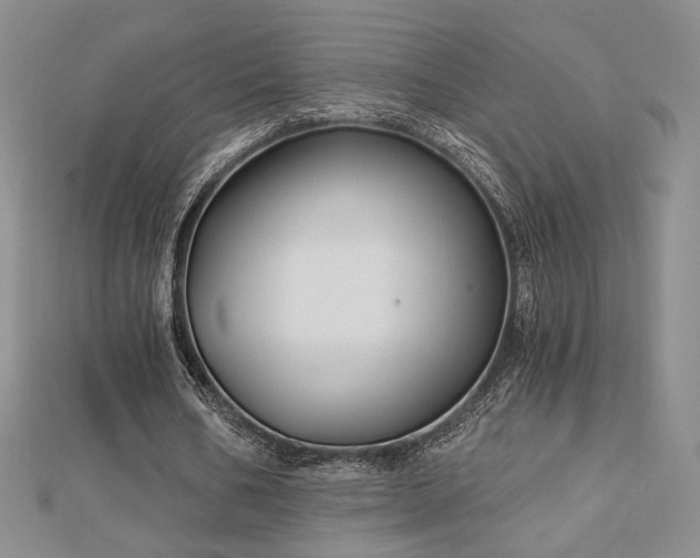 X0000113020578200908271435