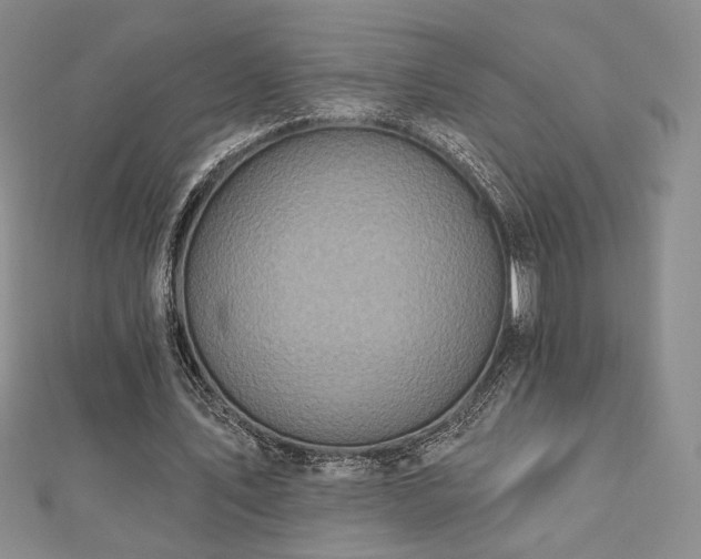 X0000113020579200908271435