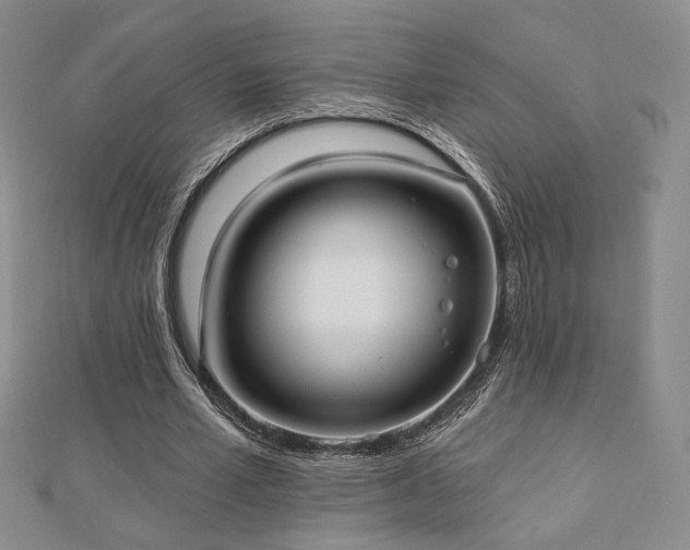 X0000113020581200908271435