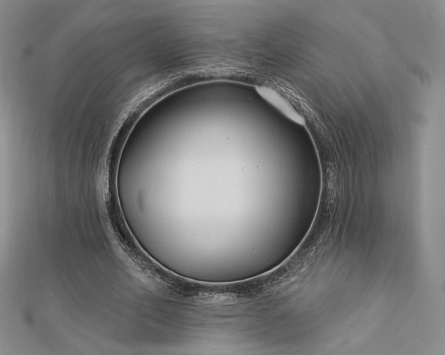 X0000113020582200908271435