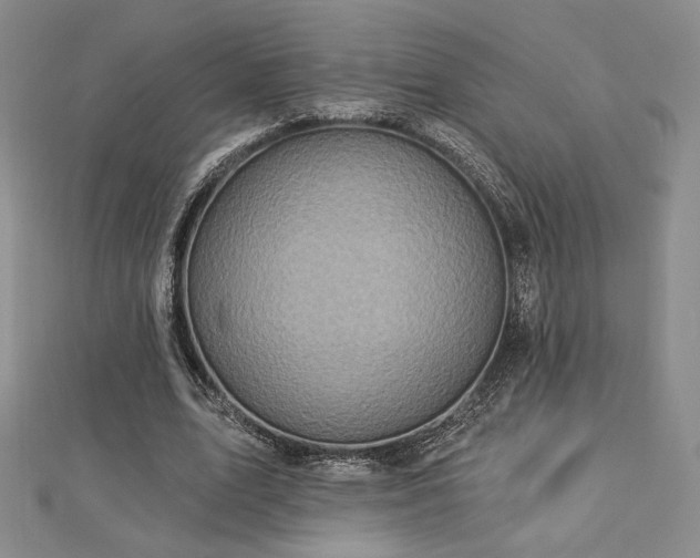 X0000113020583200908271435