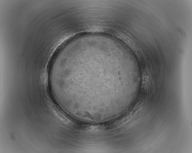 X0000113020584200908271435