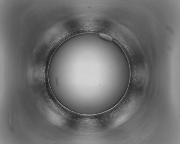 X0000113020585200908271435