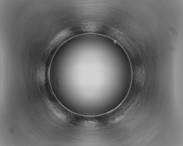 X0000113020586200908271435