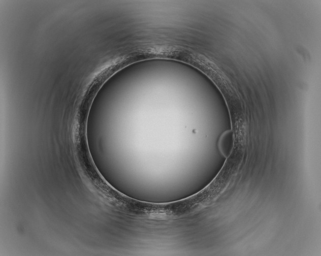 X0000113020587200908271435