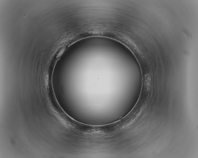 X0000113020589200908271435
