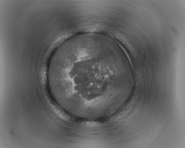 X0000113020590200908271435