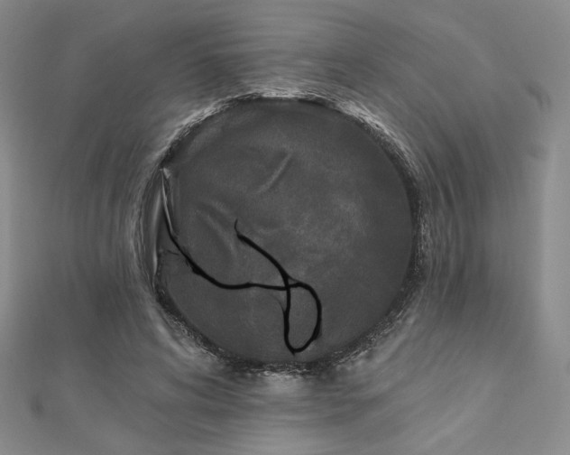X0000113020592200908271435