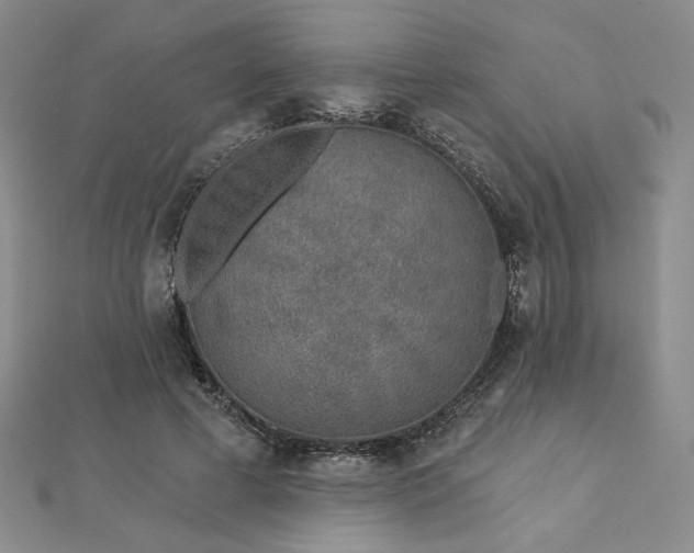 X0000113020593200908271435