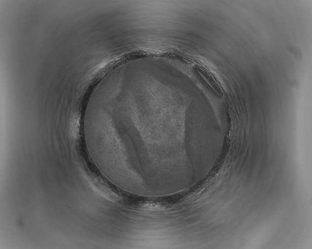 X0000113020596200908271435